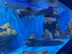-石家庄极地海洋世界