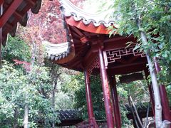 DSC07243-定园