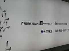 -国际邮轮中心码头(厦鼓码头)