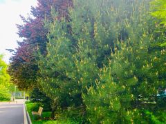 -中关村生命科学园