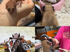 -天河城购物中心