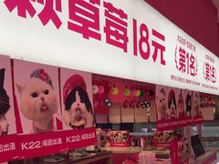 -K22.酸奶草莓(烟台芝罘店)