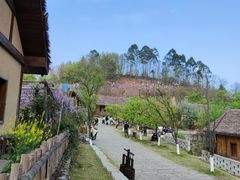 -黄龙溪欢乐田园