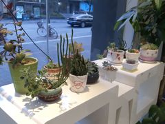 -好宜家眼视光·蔡司店(临汾店)