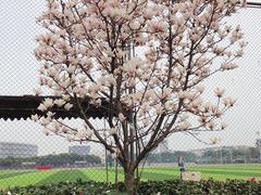 -四川大学(江安校区)