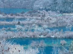 -九寨沟-树正沟