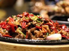 -蒙料·手把肉(望京店)