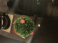 -伍丁·烤牛肋(和平东桥店)
