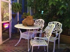 迷途主题旅馆-广州迷途主题旅馆(海珠广场店)