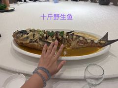 -大谊园