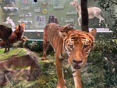 -国家自然博物馆