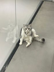 -我舞空间舞蹈培训