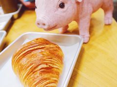 -WHEN PIGS FLY当猪飞