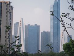 -月湖风景区