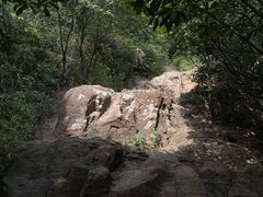 -杭州半山国家森林公园