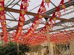 -南宫五洲植物乐园