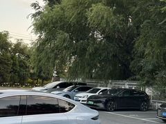 -XPEL旗舰店·汽车贴膜·隐形车衣·改色贴膜