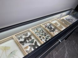 -酷嗒动物文化乐园(cutezoo西溪乐天城店)