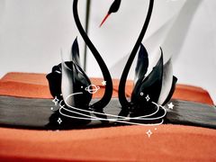 -BLACKSWAN黑天鹅(环球店)