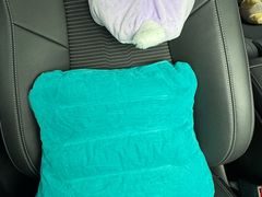 -百岁鱼(人民路店)