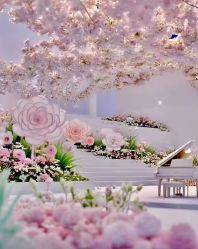 -拓美婚礼·私人订制
