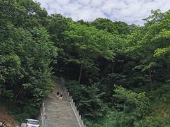 -牛背梁国家森林公园