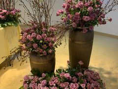 -人民公园(罗湖区)