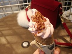 -喜茶(佛山顺德大良东乐路店)