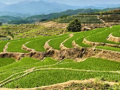 -牙胡梯田景区