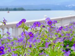-西昌邛海宾馆