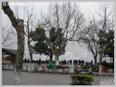 酒店对面的音乐喷泉-杭州君悦酒店