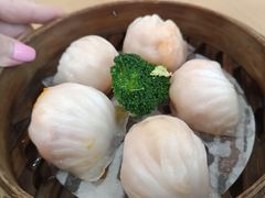 -澳门西南饭店·粤菜·茶市·手工点心(华海路店)