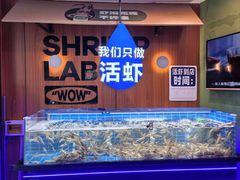 -0048鲜活香辣虾·火锅(铜陵路店)