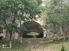 -大连星海广场音乐喷泉