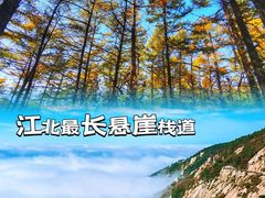-沂蒙山旅游区龟蒙景区