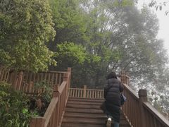 -铁山坪森林公园