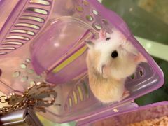 -龙猫仔乐园(惠福东路店)