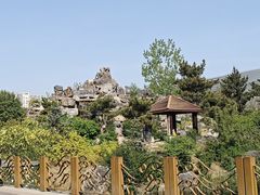 -郑州植物园