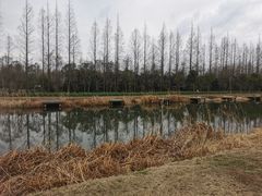 -前小桔亲子创意农场·草莓采摘·露营烧烤