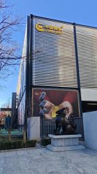 -中国黄金(北京旗舰店)