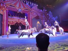 -珠海横琴长隆《卡卡虎奇遇记》