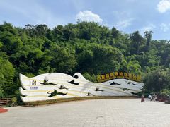 -西双版纳原始森林公园