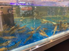 -盒马X会员店(王府井奥莱UP TOWN店)