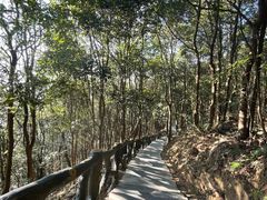 -梧桐山风景名胜区