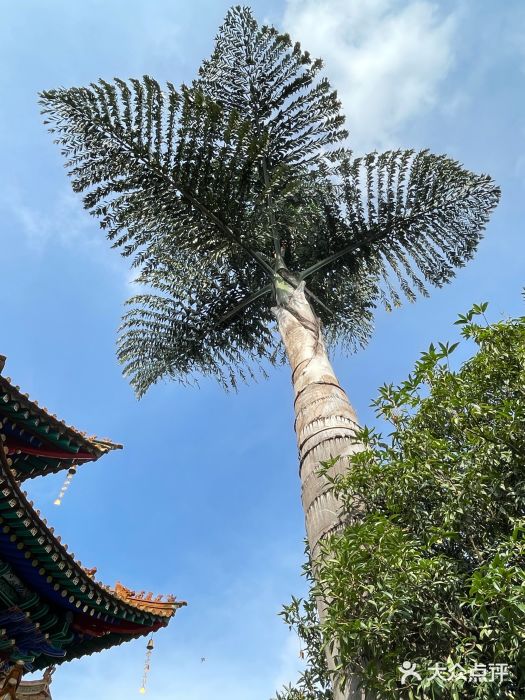 圆通禅寺图片