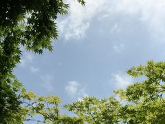 -邓小平故里