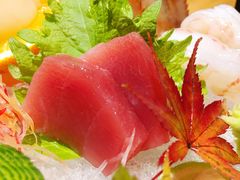 -森味薪火烧•烧鸟居酒屋•日本料理(望京店)