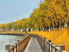 -野鸭湖国家湿地公园