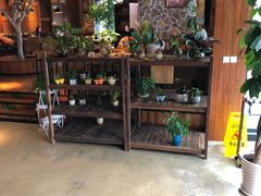 -糕潮(森兰店)