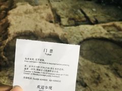 -南越王博物院(王宫展区)